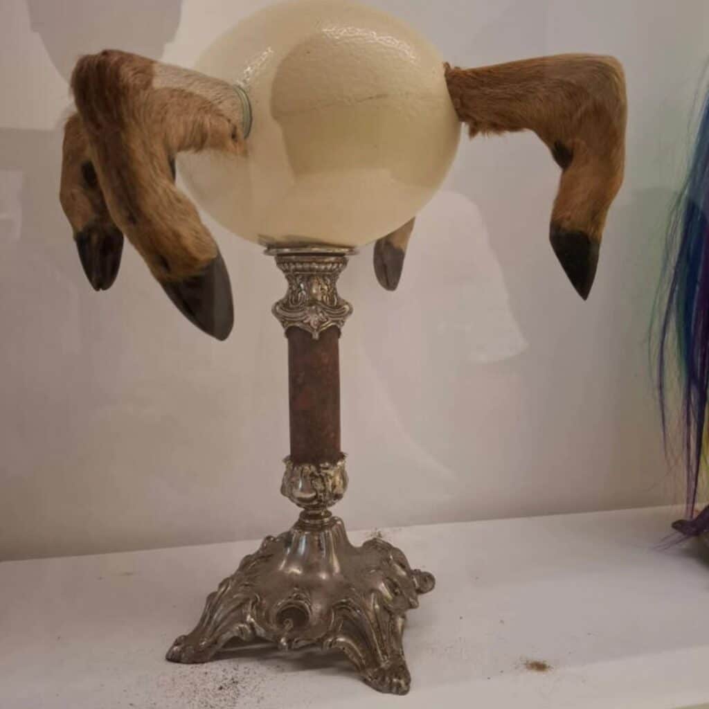 558486108 1380112234118563 718159295694685059 n