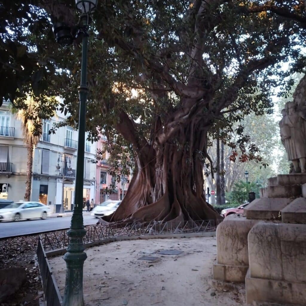 559415674 1422935529836233 769410663115701722 n