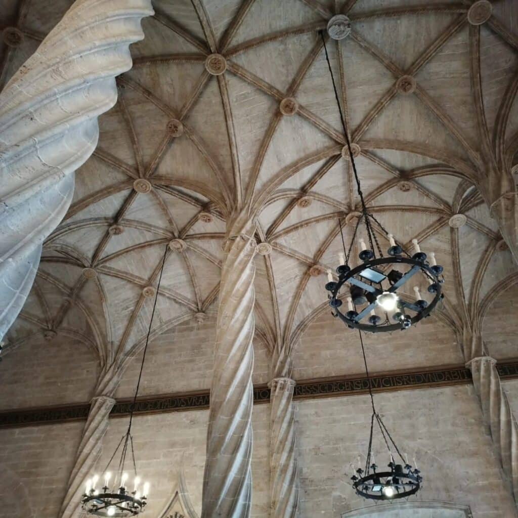 586516075 1422935513169568 5548162506665887275 n