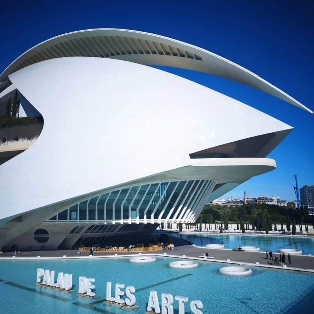 586897988 1422935526502900 2517899332661161398 n